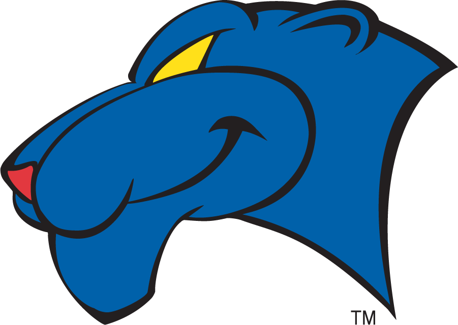 Georgia State Panthers 2002-2009 Secondary Logo v2 DIY iron on transfer (heat transfer)